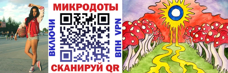 Псилоцибиновые грибы прущие грибы хочу Ленинградская